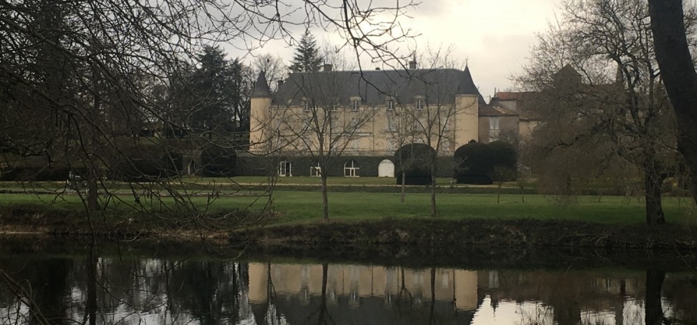 All the leaves are brown